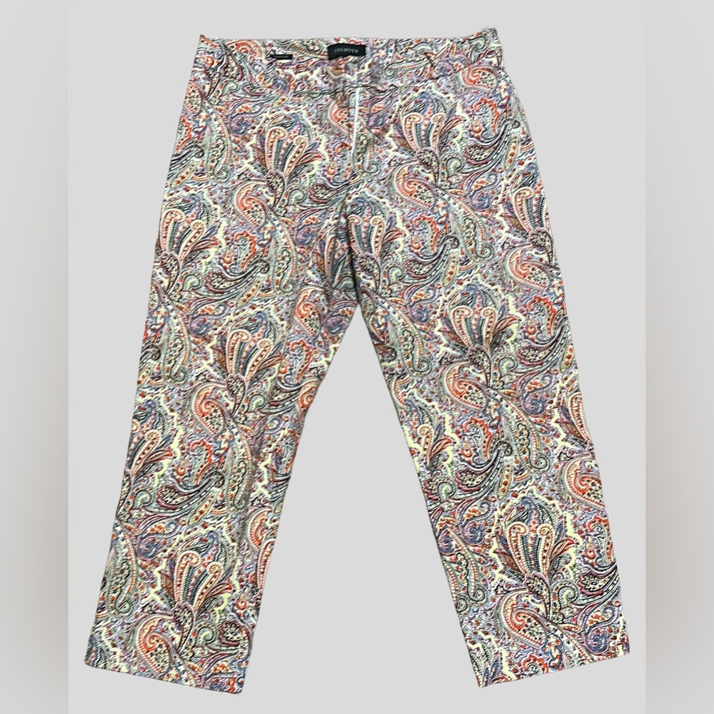 Talbots Multicolor Paisley Pants